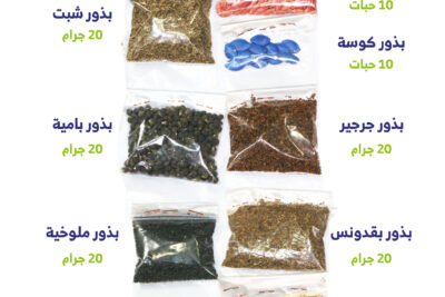 بذور للزراعة المنزلية مجموعة 10 أنواع