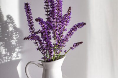 purple flowers in white ceramic vase