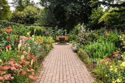 brown brick pathway between green plants during daytime