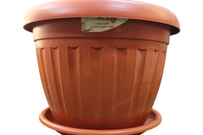 2 قصرية 35 بالطبق خامة قوية