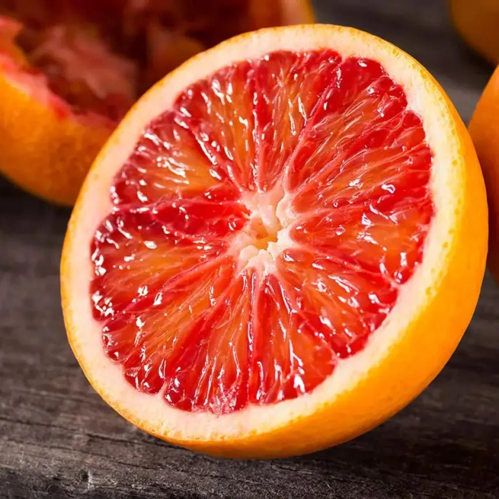 شجرة برتقال ابو دمه عليها الثمار للزراعة في البلكونات والحدائق وعلى أسطح المنازل - الصورة 2