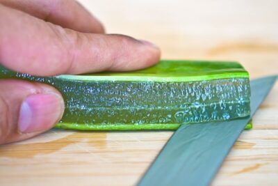 أوراق صبار الألوفيرة الكبيرة الغنية بالجل ١ كجم