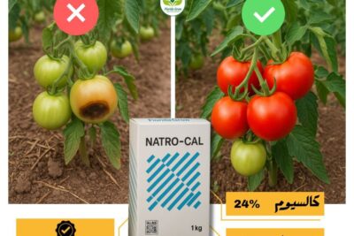 سماد كالسيوم بورون من فلوريدا 1 كجم