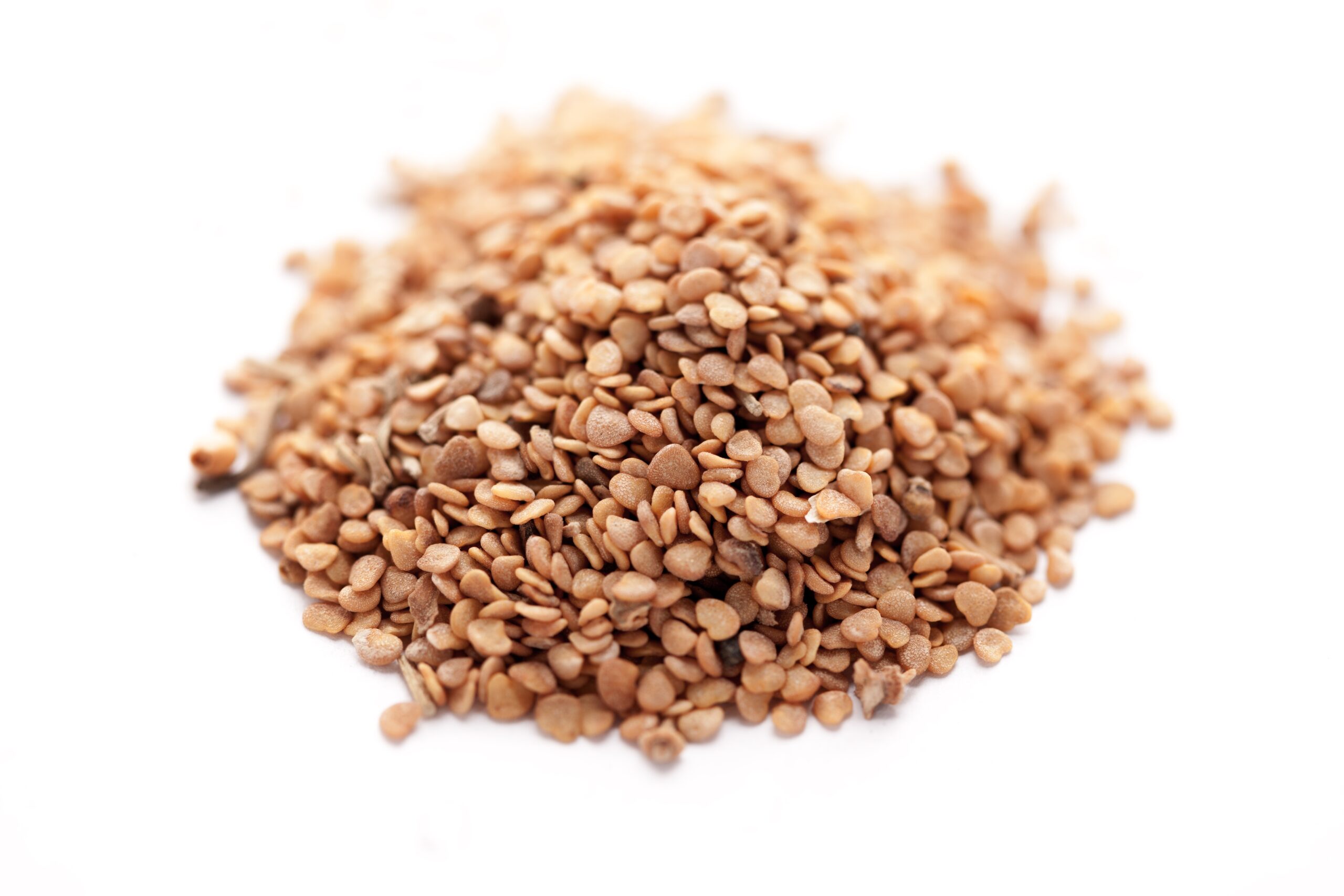 بذور الأشوجندة الجنسينج الهندي 50 جرام