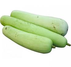 بذور اليقطين للزراعة المنزلية وتسمى الدباء Lagenaria siceraria وشجرة سيدنا يونس ولب خشب- عدد 25 بذرة - الصورة 4